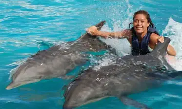 Dolphin Ride
